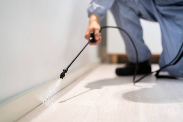 Licensed Pest Control service in Arlington Heights, IL - Show Me Pest Control